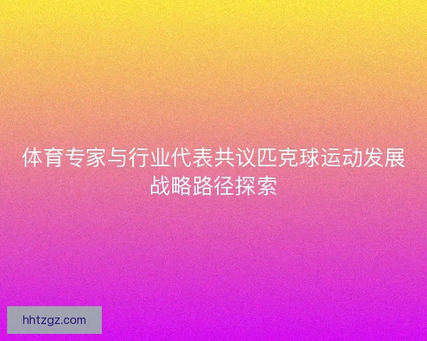 体育专家与行业代表共议匹克球运动发展战略路径探索 体育专家与行业代表共议匹克球运动发展战略路径探索